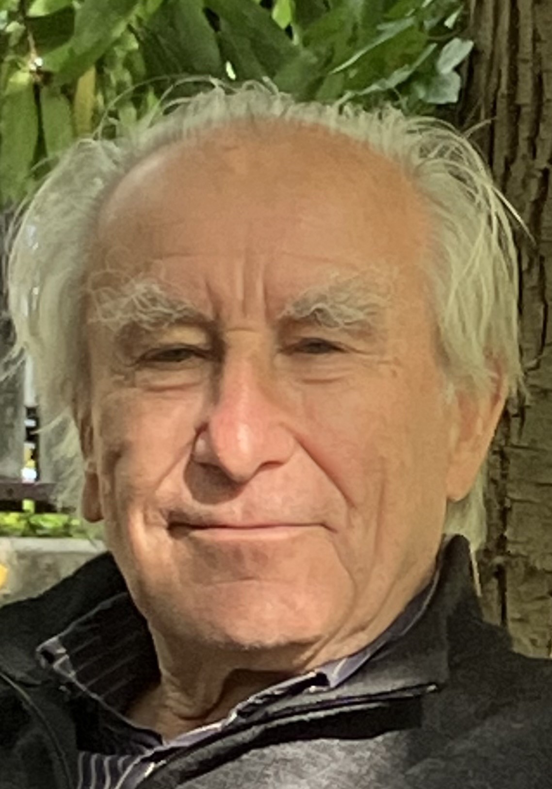 Hartmut Thierse